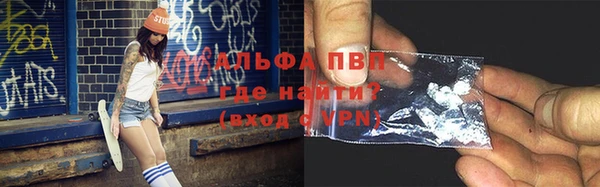 дмт Гусев