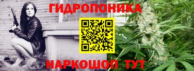 ГАЛЛЮЦИНОГЕННЫЕ ГРИБЫ Коммунар