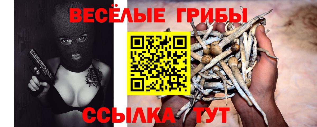 Галлюциногенные грибы Psilocybe  Галлюциногенные грибы GOLDEN TEACHER  Шуя  Вход с VPN 