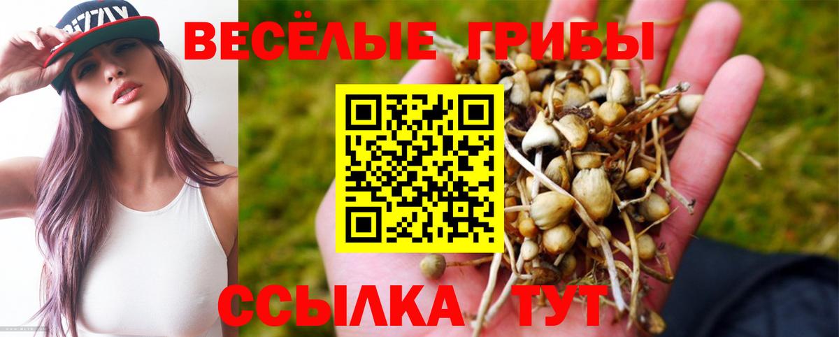 АМФЕТАМИН Шуя