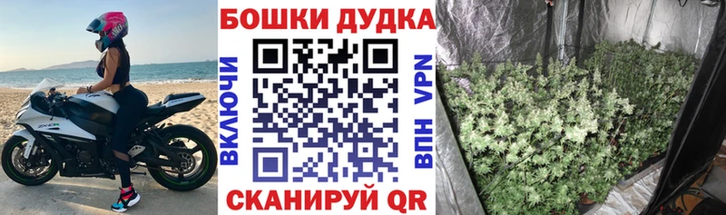 Бошки Шишки гибрид  наркотики  Шуя 